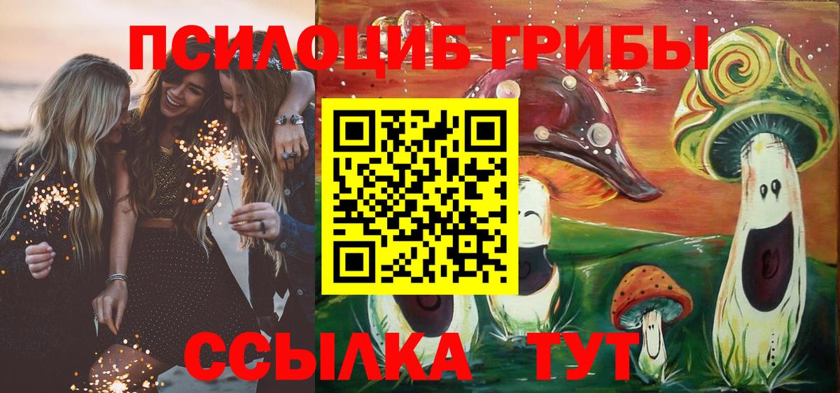 Галлюциногенные грибы ЛСД Салават