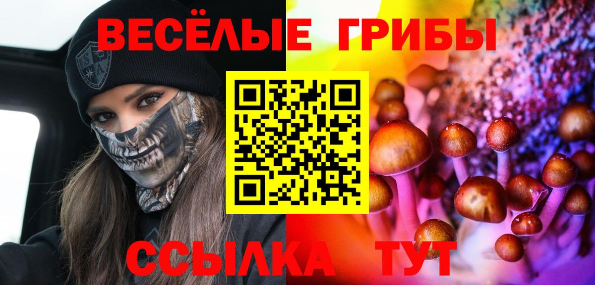 Псилоцибиновые грибы мухоморы  даркнет сайт  Псилоцибиновые грибы MAGIC MUSHROOMS  Салават  Вход с VPN 